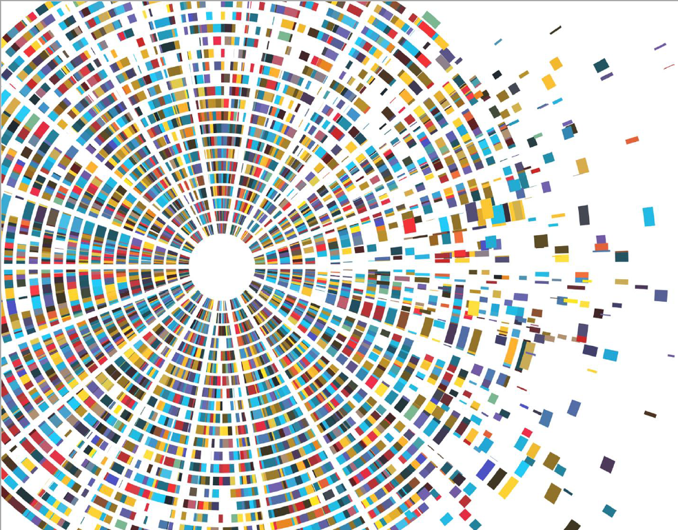 Circular Economy SME Engagement Project